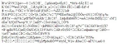 20080131095538-ilegible.jpg